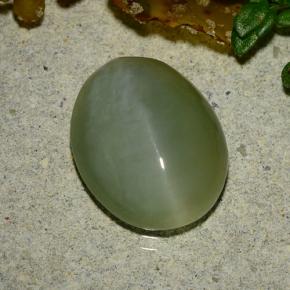 4,86 ctw natürlicher grüner Actinolite Cat's Eye, Oval Schliff, Lichtdurchlässig