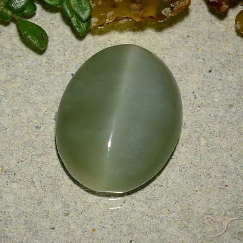 6.48ct Natürlicher Mittelgrün Aktinolith Katzenauge, Oval, Lichtdurchlässig