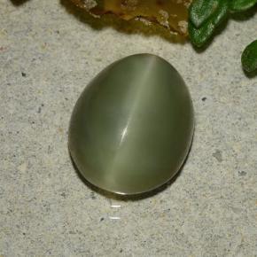 3,59 ctw natürlicher grüner Actinolite Cat's Eye, Oval Schliff, Lichtdurchlässig