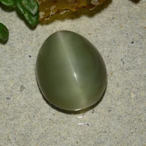 3,59 ctw natürlicher grüner Actinolite Cat's Eye, Oval Schliff, Lichtdurchlässig