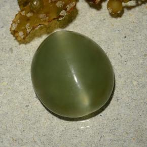 5,70 ctw natürlicher grüner Actinolite Cat's Eye, Oval Schliff, Lichtdurchlässig