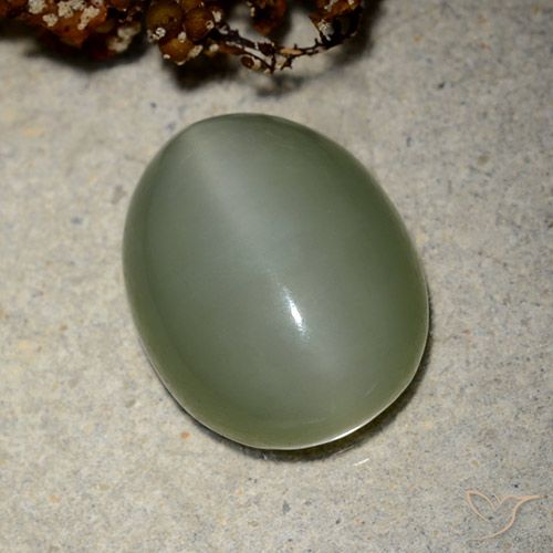 10.66ct Natürlicher Mittelgrün Aktinolith Katzenauge, Oval, Lichtdurchlässig