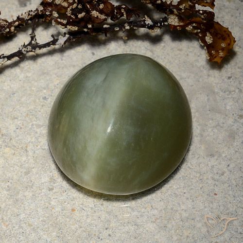 8.89ct Natürlicher dunkelgrün Aktinolith Katzenauge, Oval, Lichtdurchlässig