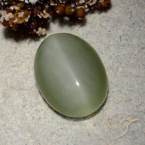 9,17 ctw natürlicher gold-grün Aktinolith Katzenauge, Oval, Lichtdurchlässig