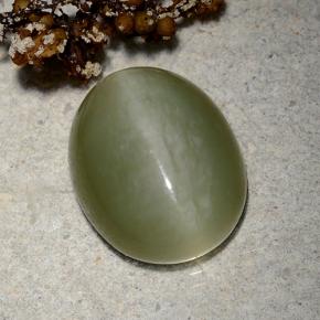 9,06 ctw natürlicher grüner Actinolite Cat's Eye, Oval Schliff, Lichtdurchlässig