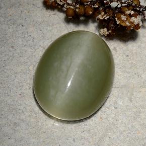 9,06 ctw natürlicher grüner Actinolite Cat's Eye, Oval Schliff, Lichtdurchlässig