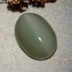 9,17 ctw natürlicher Mittelgrün Aktinolith Katzenauge, Oval, Lichtdurchlässig