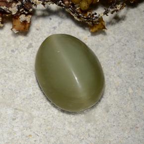 2,78 ctw natürlicher grüner Actinolite Cat's Eye, Oval Schliff, Lichtdurchlässig