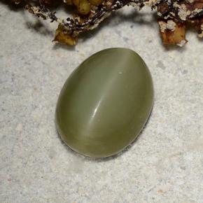 2,78 ctw natürlicher grüner Actinolite Cat's Eye, Oval Schliff, Lichtdurchlässig