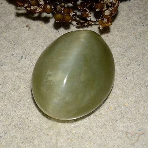 10.95ct Natürlicher Erdiges Grün Aktinolith Katzenauge, Oval, Lichtdurchlässig