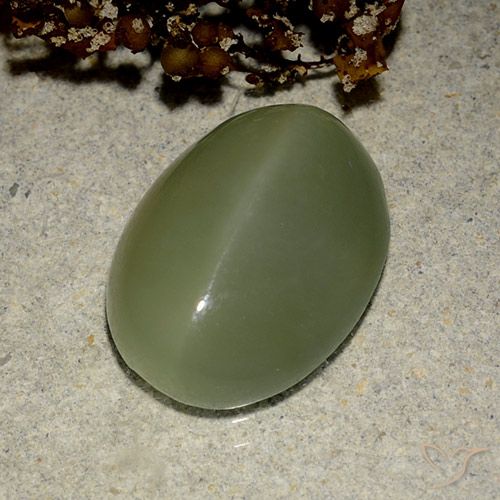 6.03ct Natürlicher Armeegrün Aktinolith Katzenauge, Oval, Lichtdurchlässig