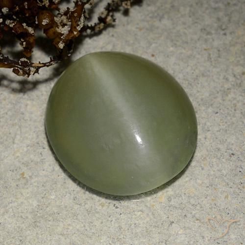 5.41ct Natürlicher Mittelgrün Aktinolith Katzenauge, Oval, Lichtdurchlässig