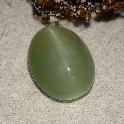 5.84ct Natürlicher Erdiges Grün Aktinolith Katzenauge, Oval, Lichtdurchlässig