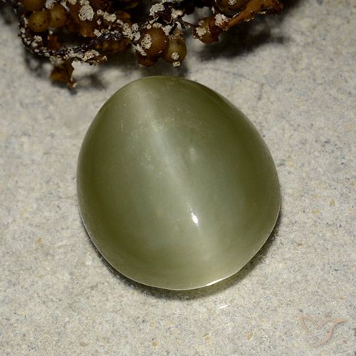 6.75ct Natürlicher Warmes Grün Aktinolith Katzenauge, Oval, Lichtdurchlässig