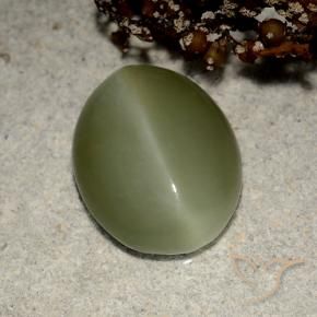 5,41 ctw natürlicher grüner Actinolite Cat's Eye, Oval Schliff, Lichtdurchlässig