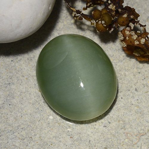 5.48ct Natürlicher Grau Grün Aktinolith Katzenauge, Oval, Lichtdurchlässig