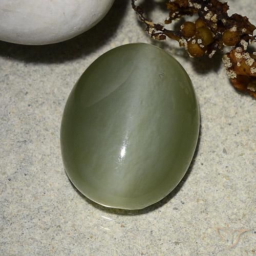 8.99ct Natürlicher Moosiges Grün Aktinolith Katzenauge, Oval, Lichtdurchlässig