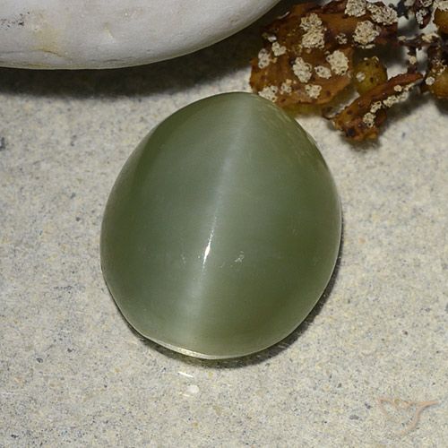 5.93ct Natürlicher Erdiges Grün Aktinolith Katzenauge, Oval, Lichtdurchlässig