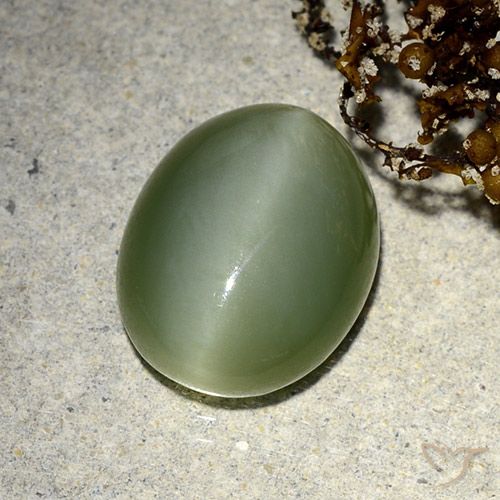 5.91ct Natürlicher Erdiges Grün Aktinolith Katzenauge, Oval, Lichtdurchlässig