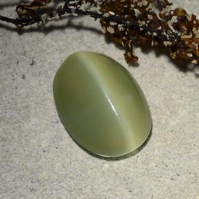 4,89 ctw natürlicher grüner Actinolite Cat's Eye, Oval Schliff, Lichtdurchlässig