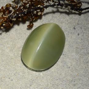 4,89 ctw natürlicher grüner Actinolite Cat's Eye, Oval Schliff, Lichtdurchlässig