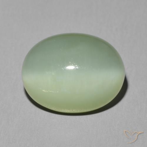 6.08ct Natürlicher Hellgelb Grün Aktinolith Katzenauge, Oval, Lichtdurchlässig