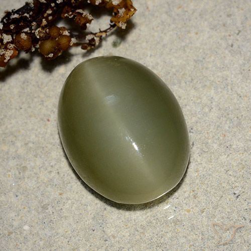 7.05ct Natürlicher tiefgrün Aktinolith Katzenauge, Oval, Lichtdurchlässig