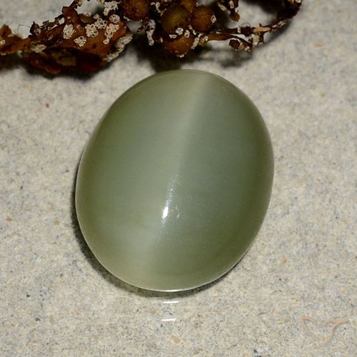 5.10ct Natürlicher gelblich-grün Aktinolith Katzenauge, Oval, Lichtdurchlässig