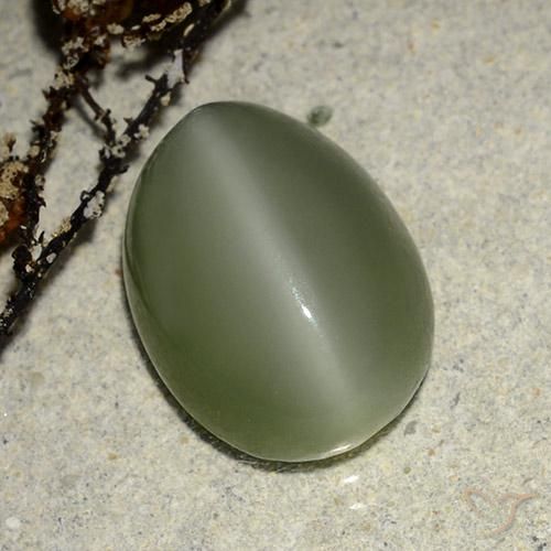 6.84ct Natürlicher Warmes Grün Aktinolith Katzenauge, Oval, Lichtdurchlässig