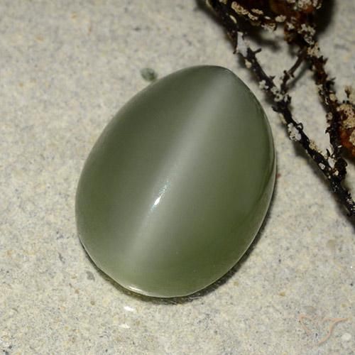 9,17 ctw natürlicher Warmes Grün Aktinolith Katzenauge, Oval, Lichtdurchlässig