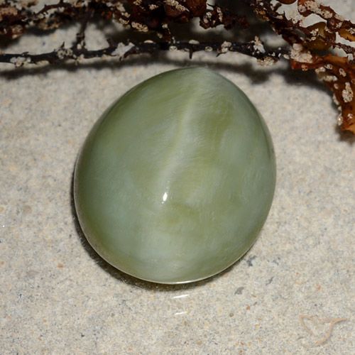 6.52ct Natürlicher Warmes Grün Aktinolith Katzenauge, Oval, Lichtdurchlässig