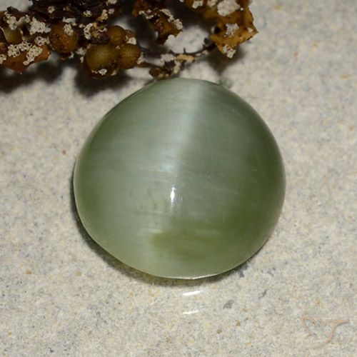 4.90ct Natürlicher Warmes Grün Aktinolith Katzenauge, Oval, Lichtdurchlässig
