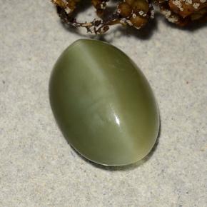 4,69 ctw natürlicher grüner Actinolite Cat's Eye, Oval Schliff, Lichtdurchlässig