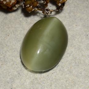 4,69 ctw natürlicher grüner Actinolite Cat's Eye, Oval Schliff, Lichtdurchlässig