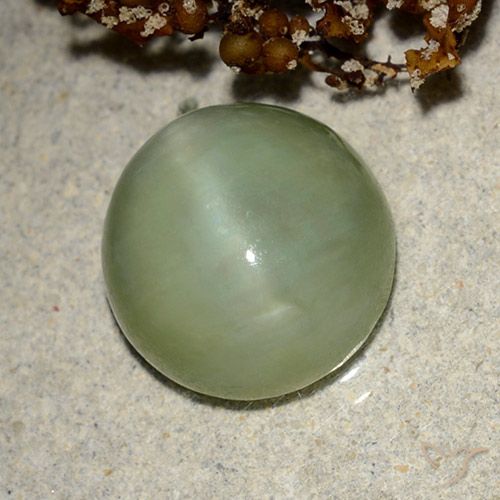 6.42ct Natürlicher Warmes Grün Aktinolith Katzenauge, Oval, Lichtdurchlässig