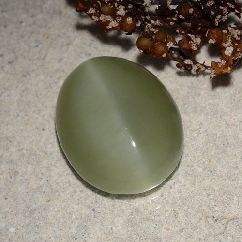 6.21ct Natürlicher Graugrün Aktinolith Katzenauge, Oval, Lichtdurchlässig