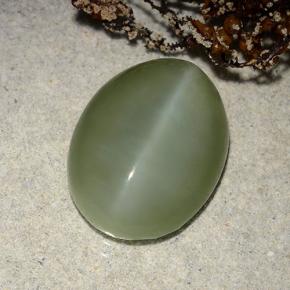 8,86 ctw natürlicher grüner Actinolite Cat's Eye, Oval Schliff, Lichtdurchlässig