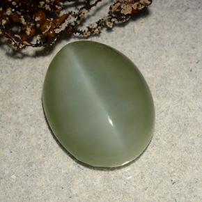 8,86 ctw natürlicher grüner Actinolite Cat's Eye, Oval Schliff, Lichtdurchlässig