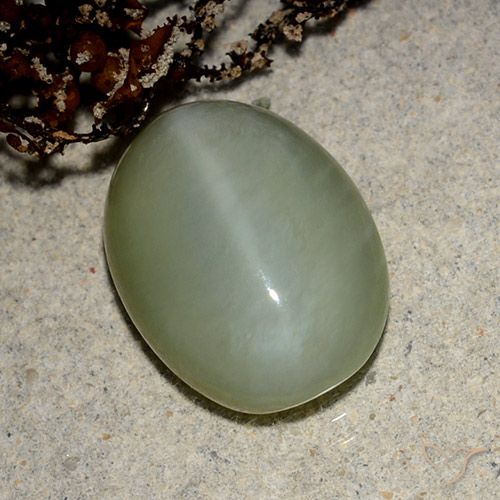 5.43ct Natürlicher bräunlich-grün Aktinolith Katzenauge, Oval, Lichtdurchlässig