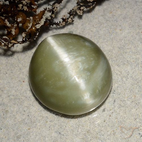 5.32ct Natürlicher gelblich-grün Aktinolith Katzenauge, Oval, Lichtdurchlässig