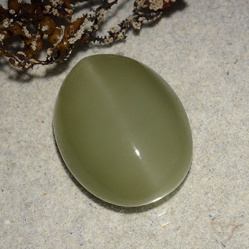 8.14ct Natürlicher gelblich-grün Aktinolith Katzenauge, Oval, Lichtdurchlässig