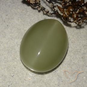 9,17 ctw natürlicher gelblich-grün Aktinolith Katzenauge, Oval, Lichtdurchlässig
