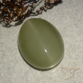 9,17 ctw natürlicher gelblich-grün Aktinolith Katzenauge, Oval, Lichtdurchlässig