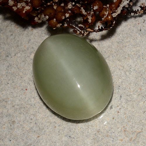 5.66ct Natürlicher Erdiges Grün Aktinolith Katzenauge, Oval, Lichtdurchlässig