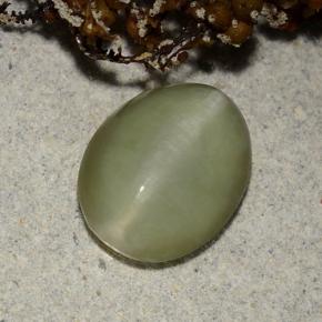 2,40 ctw natürlicher grüner Actinolite Cat's Eye, Oval Schliff, Lichtdurchlässig
