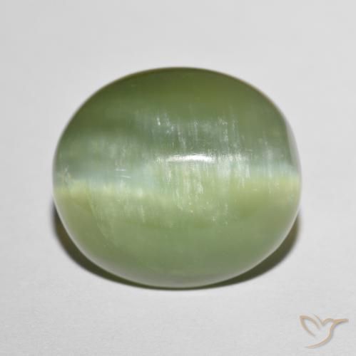 8.75ct Natürlicher Blasses Erdgrün Aktinolith Katzenauge, Oval, Lichtdurchlässig, Photo A