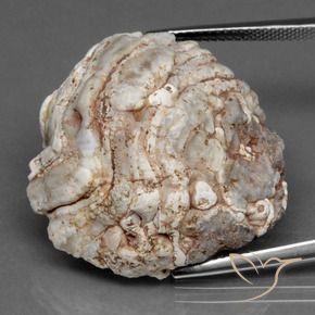 9,17 ctw natürlicher Mehrfarbig Achat-Geode, Fantasie, Lichtundurchlässig