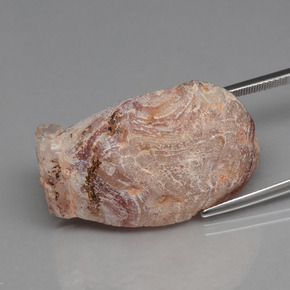 44,32 ctw natürlicher mehrfarbiger Achatgeode, Fantasieschliff, Lichtundurchlässig