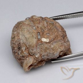 9,17 ctw natürlicher Mehrfarbig Achat-Geode, Fantasie, Lichtundurchlässig