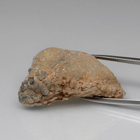 55,91 ctw natürlicher mehrfarbiger Achatgeode, Fantasieschliff, Lichtundurchlässig